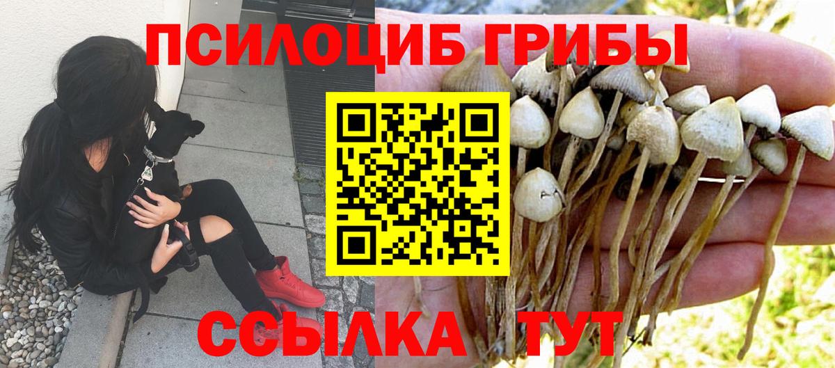 Светлоград  Псилоцибиновые грибы Magic Shrooms  Псилоцибиновые грибы мицелий  Вход с VPN 
